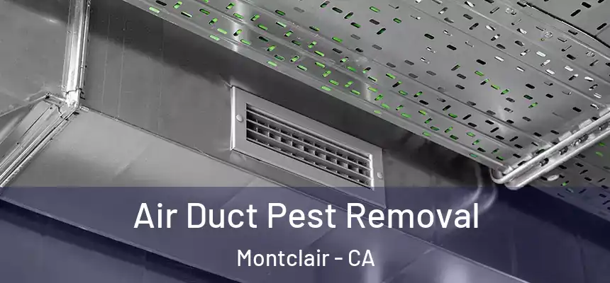 Air Duct Pest Removal Montclair - CA