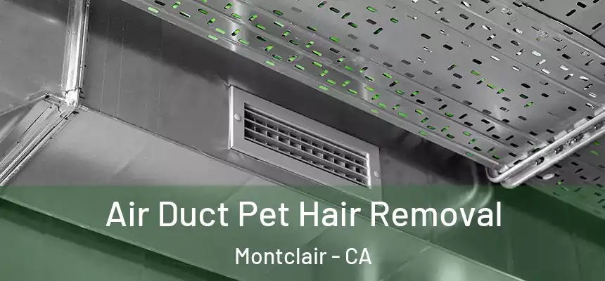  Air Duct Pet Hair Removal Montclair - CA