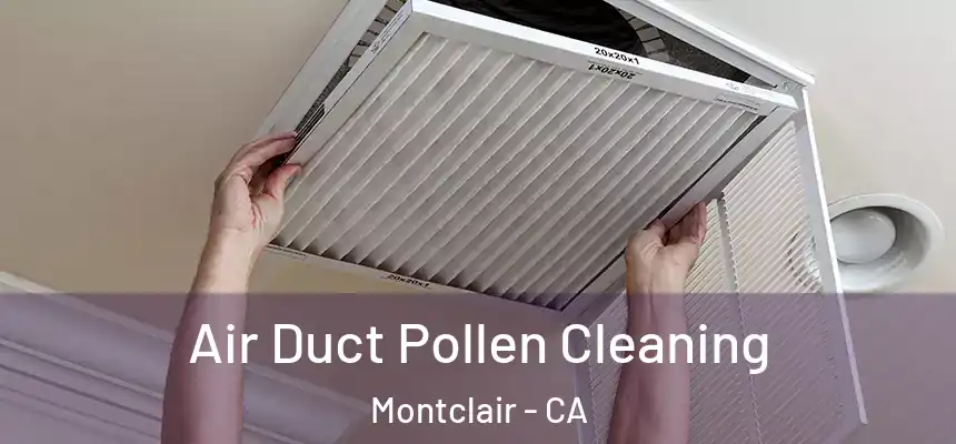  Air Duct Pollen Cleaning Montclair - CA
