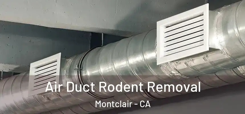 Air Duct Rodent Removal Montclair - CA