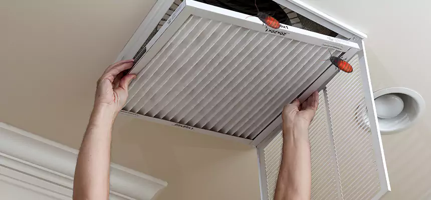 Preventive Cockroach-Proofing for Ducts in Montclair