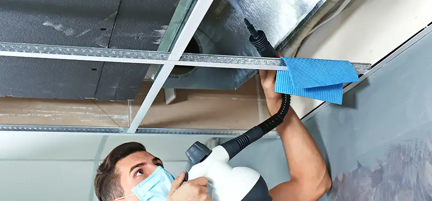 Our Air Duct Rodent Removal Services in Montclair, CA