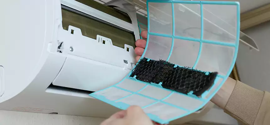 Gentle Ductwork Odor-Control Pet Dander Duct Cleaning in Montclair, CA