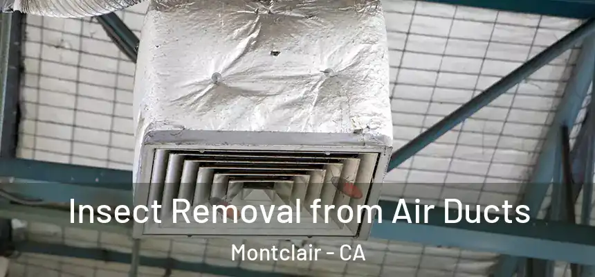 Insect Removal from Air Ducts Montclair - CA