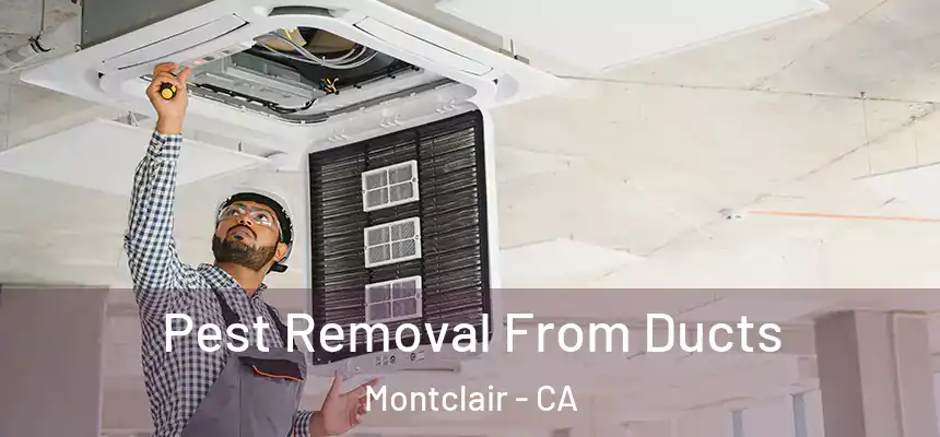  Pest Removal From Ducts Montclair - CA