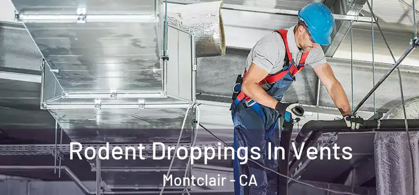 Rodent Droppings In Vents Montclair - CA